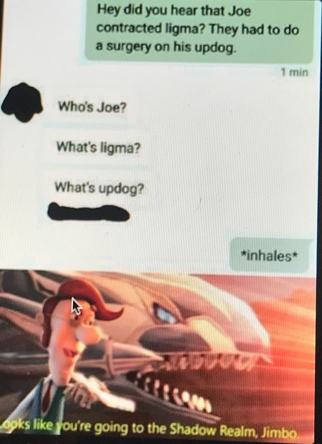 Joe came down with ligma, updog - iFunny  Funny texts, Funny text  messages, Funny times