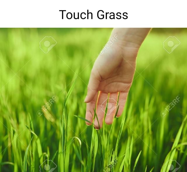 Grass Touch on X:  / X
