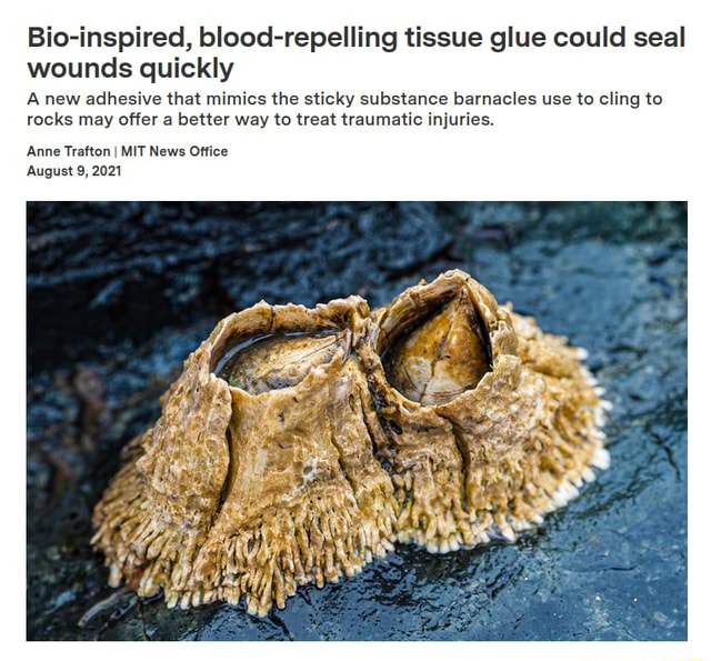 Bio-inspired, blood-repelling tissue glue could seal wounds