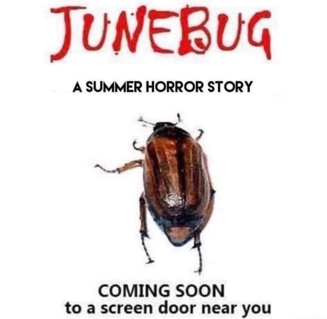 Spooky Junebug JUNEBUG A SUMMER HORROR STORY COMING SOON to a screen door near you ...