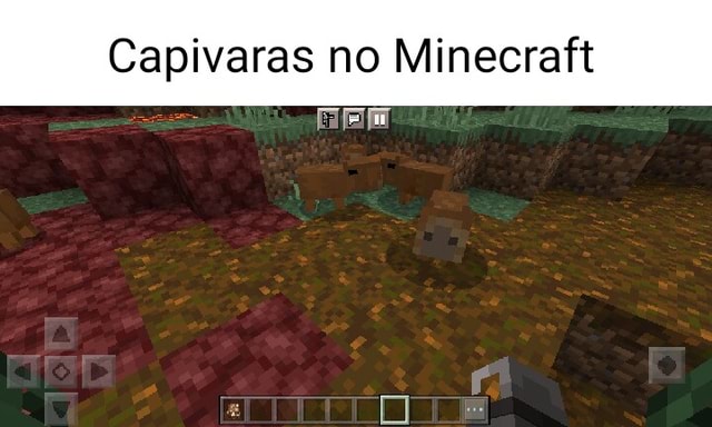 Quem você salvaria? adm da choquei curte e comenta capivara do minecraft só  olha - iFunny Brazil