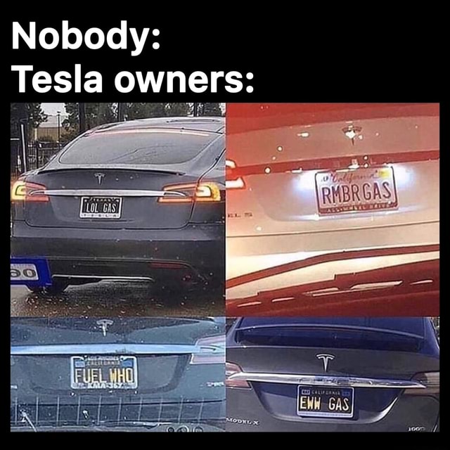 Nobody: Tesla owners: I - iFunny Brazil