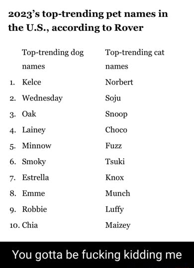 2023-s-top-trending-pet-names-in-the-u-s-according-to-rover-top