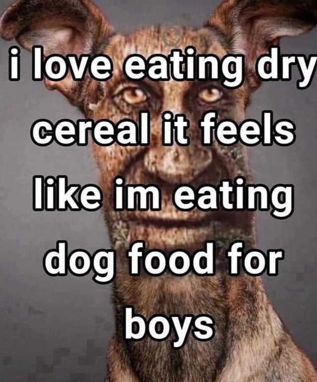 i love eating dry cereal (wise mystical tree dog)