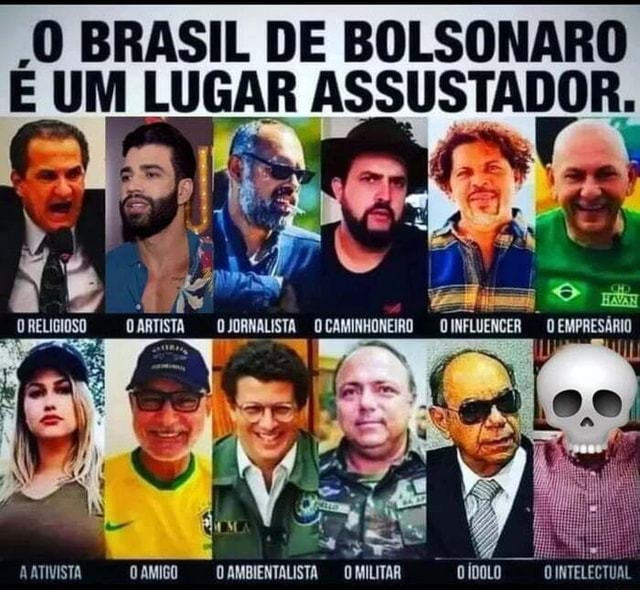 Uma amostra do bizarro mundo do imaginário bolsonarista : r/Twitter_Brasil