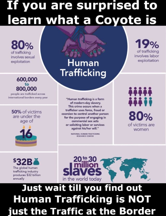 If you are surprised to learn what a Coyote is 80 of trafficking 19