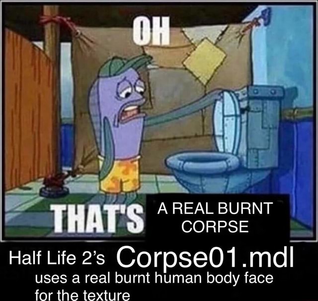 A REAL BURNT CORPSE Half Life Corpse01.mdl uses a real burnt human body