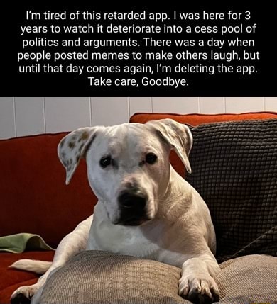 aztrosist_ discusses the revive app animal meme phenomenon. What is i, wake me up dog