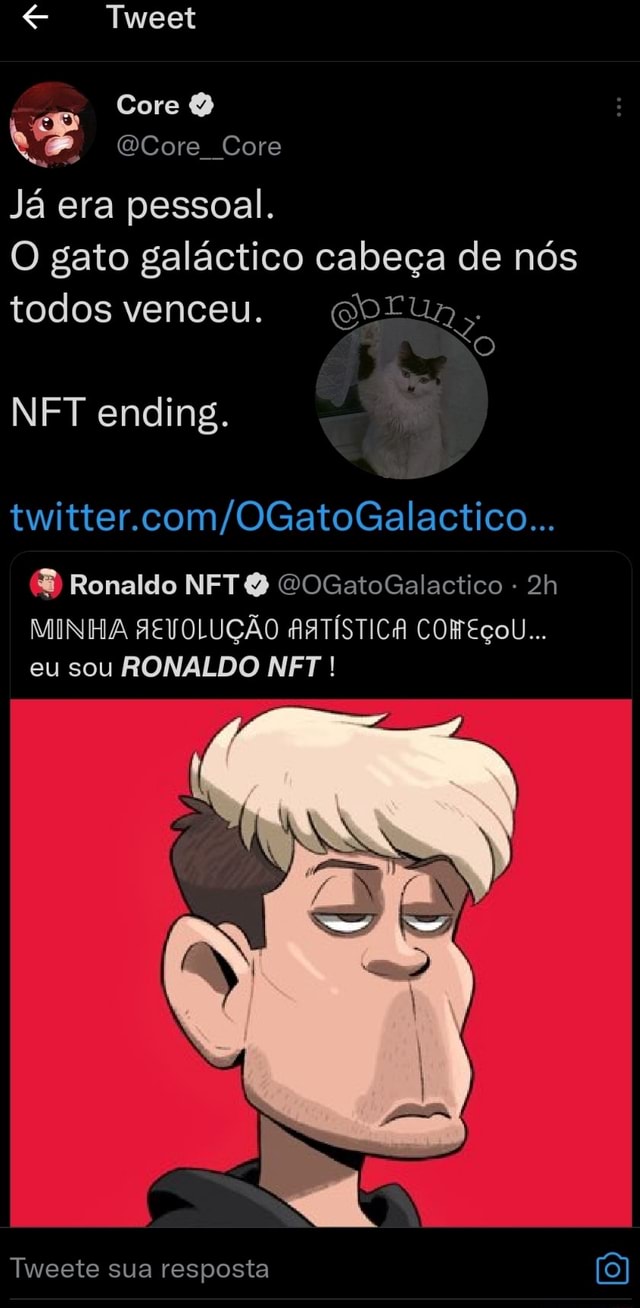 Afinal, NFTs são ou não o futuro? Para o r Gato Galáctico