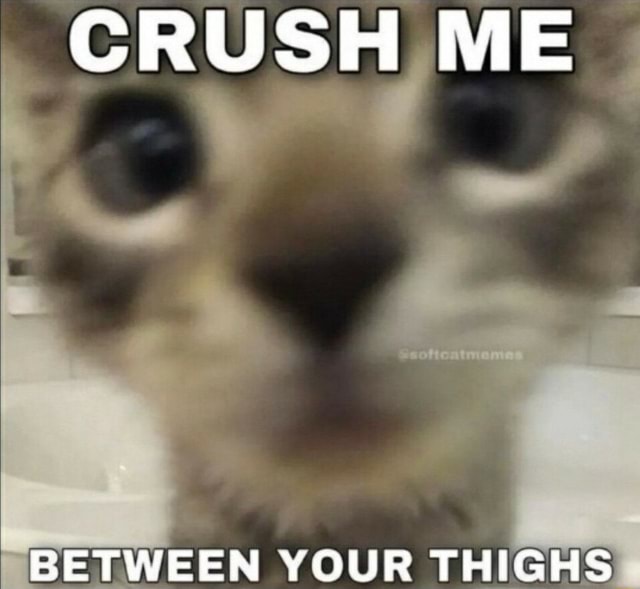 CRUSH ME BETWEEN YOUR THIGHS - iFunny Brazil