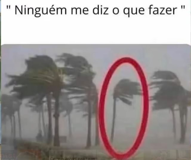 Ninja do KaBuM! on X: Defina-se em um meme. 🤔 Me:   / X