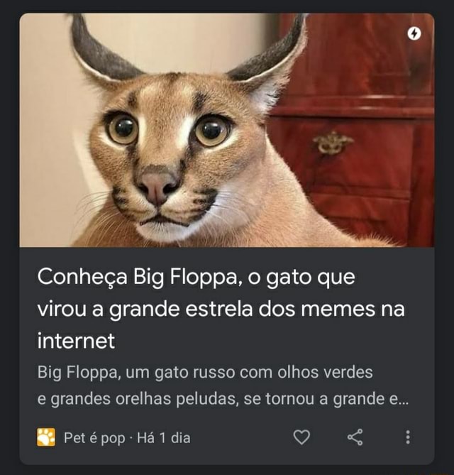 Conheça Big Floppa, o gato que virou a grande estrela dos memes na