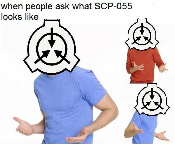 If you could wear SCP-055 on your face and look at SCP-096, will