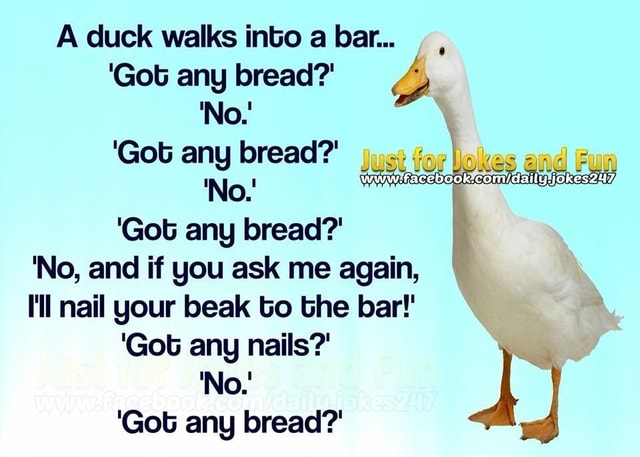 A duck walks into a bar 'Got any bread? 'No.' 'Got any bread