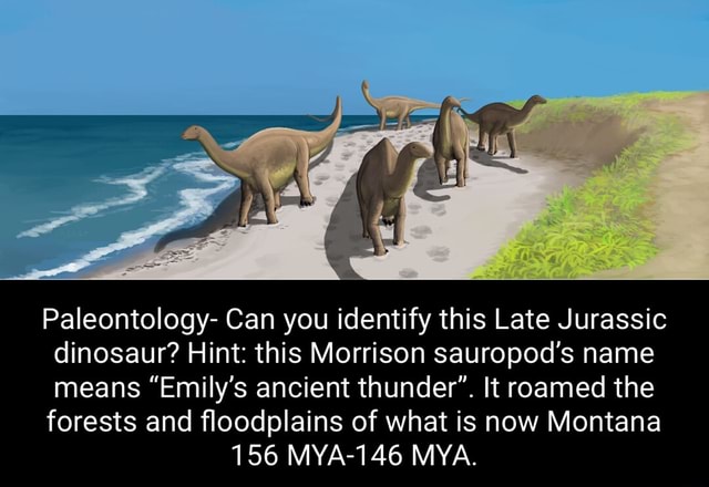 Paleontology- Can you identify this Late Jurassic dinosaur? Hint: this ...