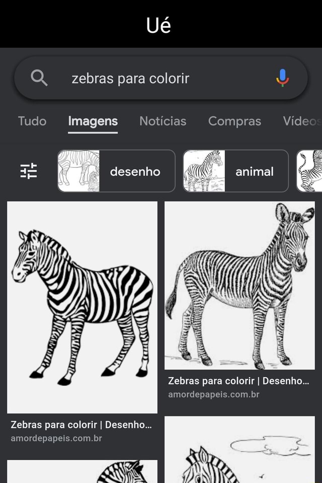 1) Google OQ. zebras para colorir TODAS IMAGENS NOTÍCIAS SHOPPING VÍDEOS do  rosto (P I imprimir animais Zebras para colorir I Desenhos par  amordepapeis.com.br 3000+ Desenhos para Colorir I Zeb br 