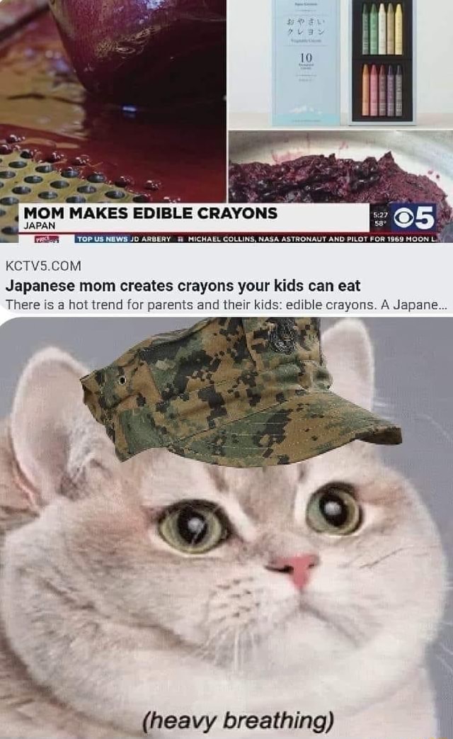 MOM MAKES EDIBLE CRAYONS Japanese mom creates crayons your kids can eat  There is @ hot trend for parents and their kids: edible crayons. A Japane  (heavy breathing) Gonna make Marine Division