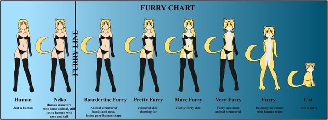 FURRY CHART Boarderline Furry Pretty Furry Human structure Justa human ...