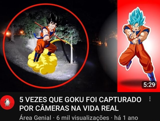 5 rs que Capturaram GOKU Capturados em Cameras (Real Robin