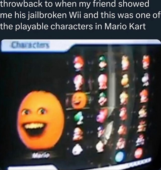 jail broken wii