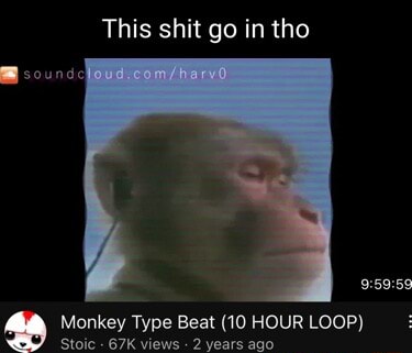 Monkey With a Walkman Gif