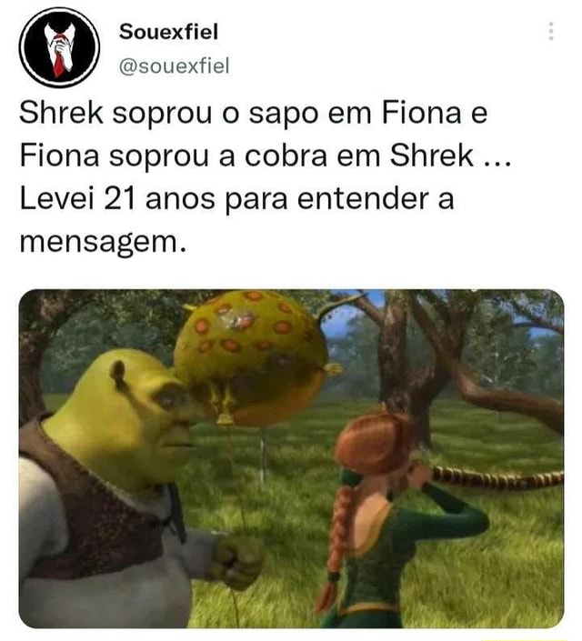 😂😂😂😂😂 - hrek soprou o sapo em Fiona e Fiona sopro cobra em Shrek Levei  21 anos para tender a mensagem. - iFunny Brazil