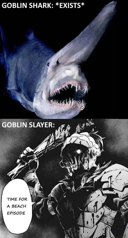 Ahhhh! ! Goblin Slayer gave me shark it! ! ! - BiliBili