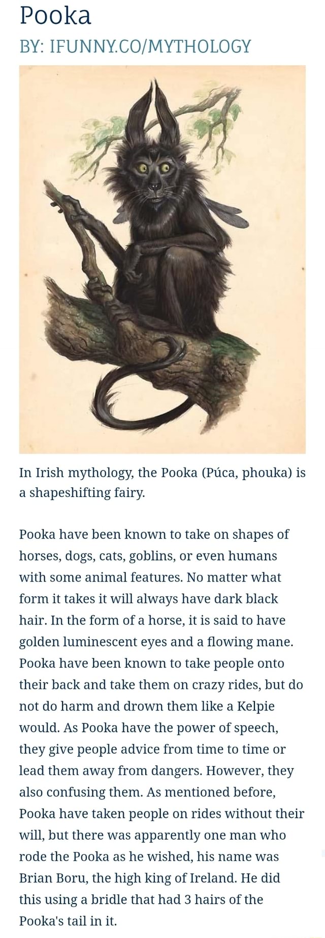 Pooka BY: IFUNNY.CO/MYTHOLOGY In Irish mythology, the Pooka (Ptca ...