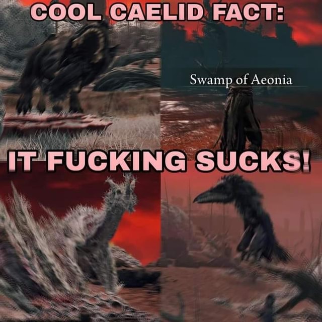 AELID: FACT: DE Swamp of Aeonia - iFunny Brazil