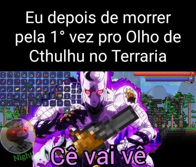 Eu depois de morrer pela vez pro Olho de Cthulhu no Terraria vi