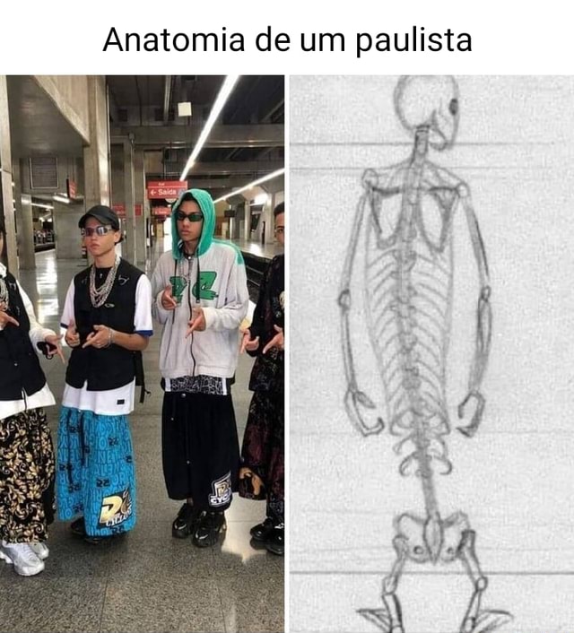 Anatomia de um paulista - iFunny Brazil