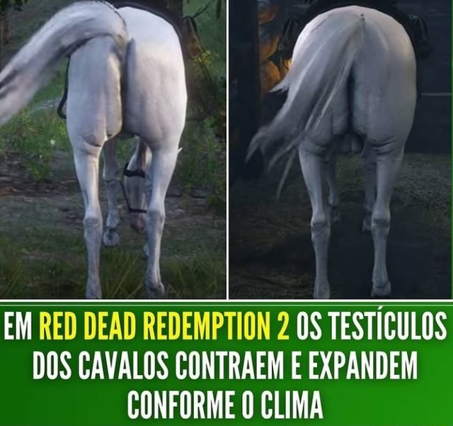 Os melhores cavalos de Red Dead Redemption II e onde encontrar