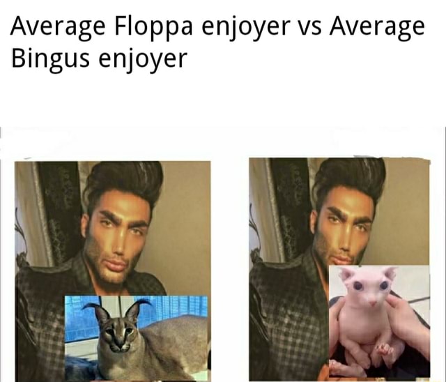 Which do you guys like more? bingus or floppa, personally I more