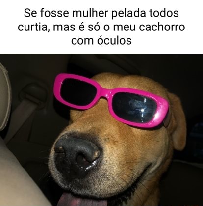 se fosse mulher pelada todos curtia mas é só o meu cachorro com óculos