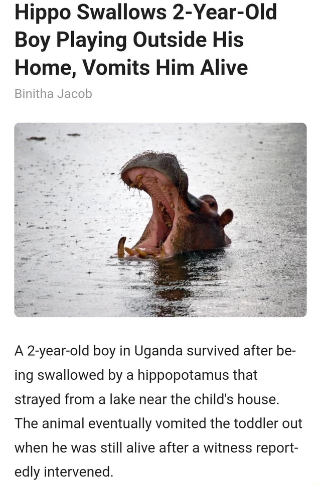 Hippo swallows, spits out 2-year-old boy in Uganda