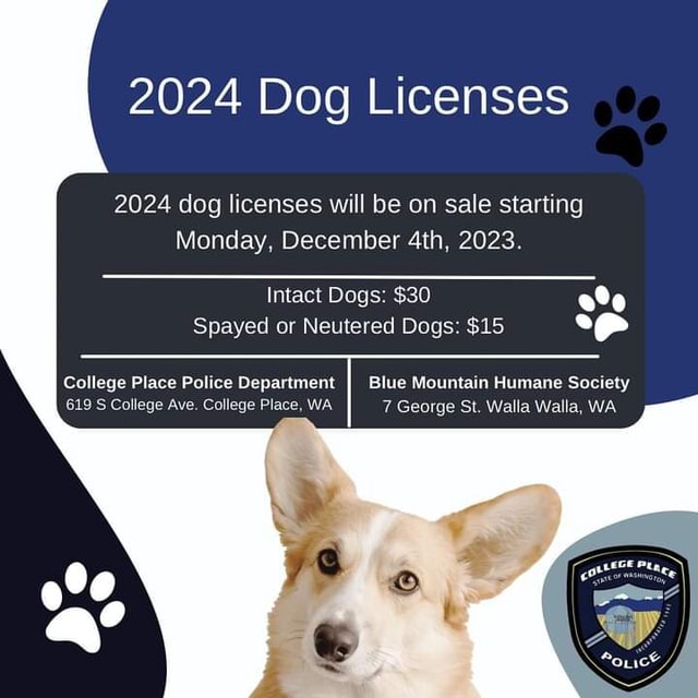 2024 Dog Licenses 2024 dog licenses will be on sale starting Monday ...