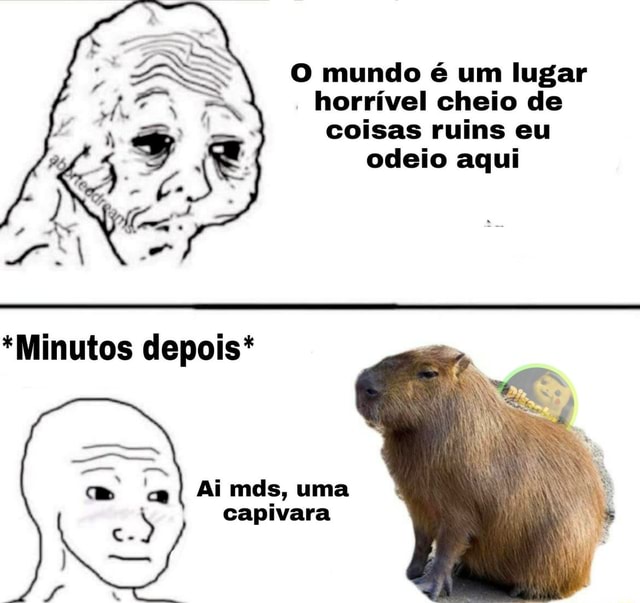 Capivara Agiota Hoje Se pessoal do ifunny é triste se a gente criar o ibad  os usuarios ficam felizes? O cara depois de pensar nisso: - iFunny Brazil