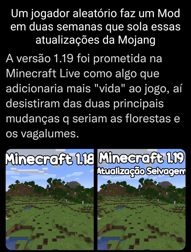 Um jogador aleatório faz um Mod em duas semanas que sola essas atualizações  da Mojang A versão 1.19 foi prometida na Minecraft Live como algo que  adicionaria mais vida ao jogo, aí