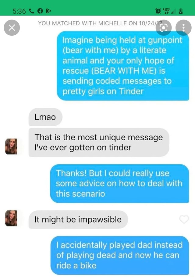 YOU MATCHED WITH MICHELLE ON Imagine being held at gunpoint (bear with me)  by a literate animal and your only hope of rescue (BEAR WITH ME) is sending  coded messages to pretty