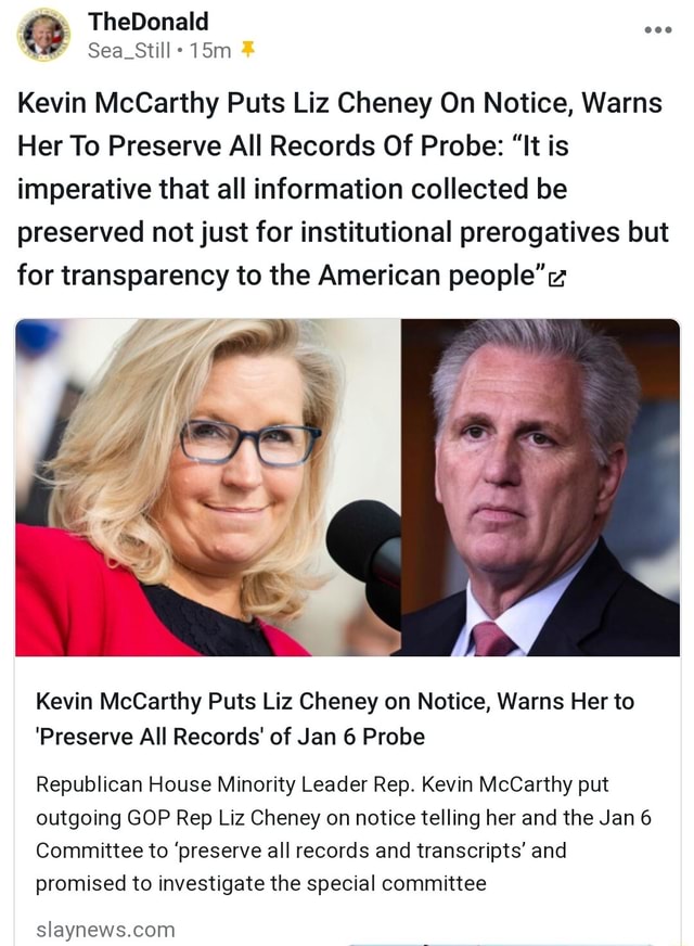 Kevin McCarthy Puts Liz Cheney On Notice, Warns Her To Preserve All ...