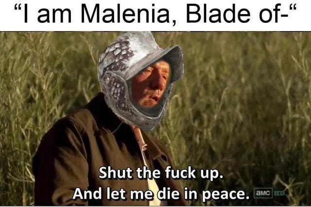 Malenia Me who is ready to die for the 378th time LA ve got this one  laddie. Let Me Solo Her - iFunny Brazil