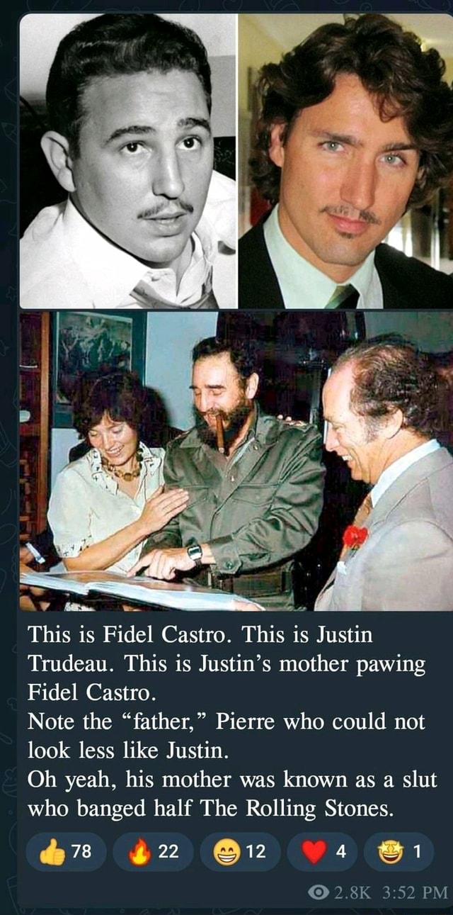 This Is Fidel Castro This Is Justin Trudeau This Is Justins Mother Pawing Fidel Castro Note 3255