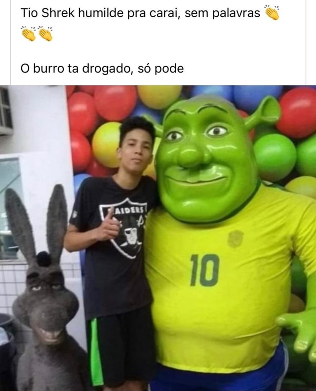 burro meu maior kin!! #shrek #shrekburro #perolas