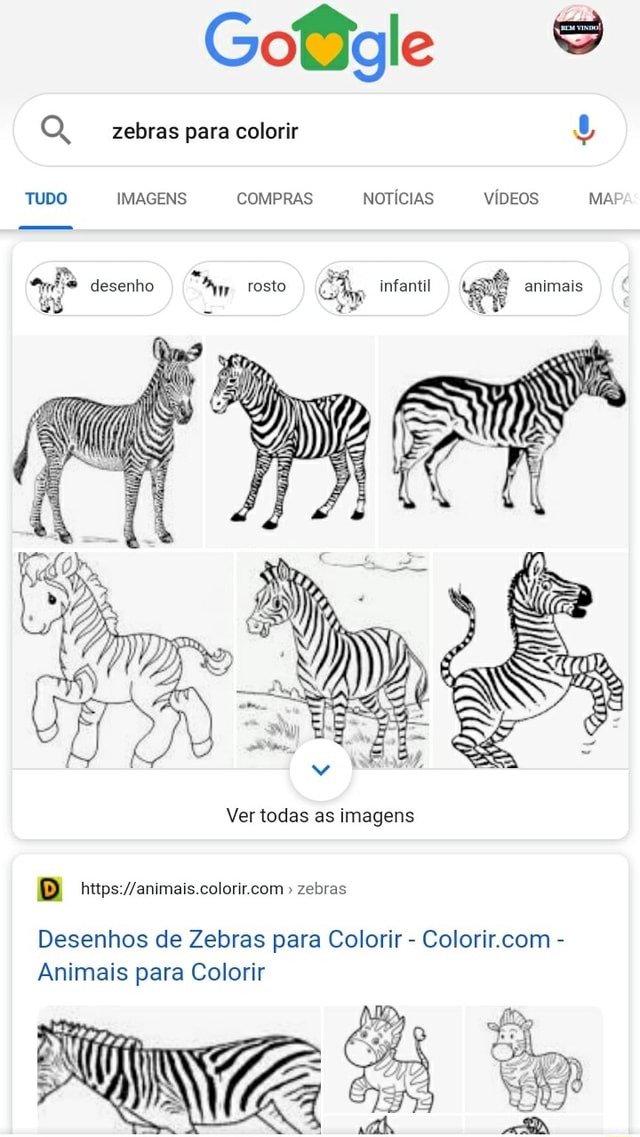 Animais Para Colorir