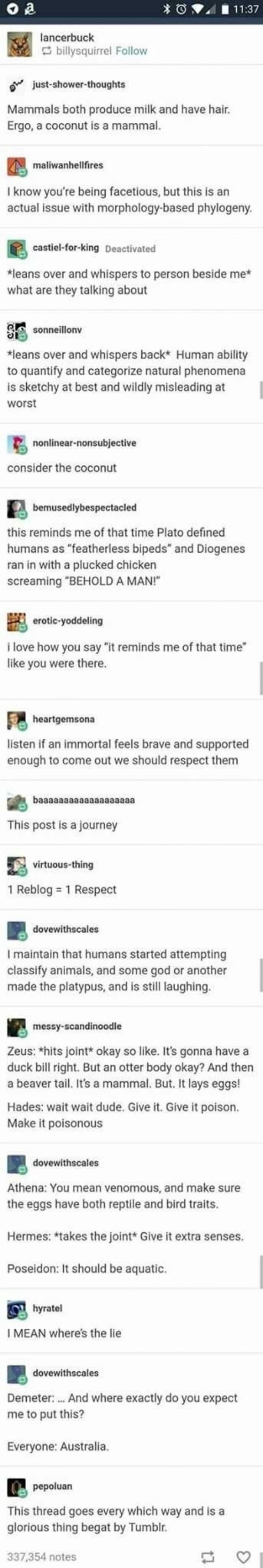 Lancerbuck billysquirrel Follow _justshowerthoughts Mammals both