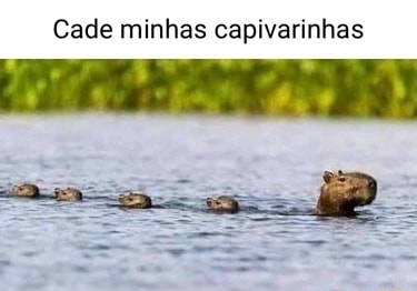 Quem você salvaria? adm da choquei curte e comenta capivara do minecraft só  olha - iFunny Brazil