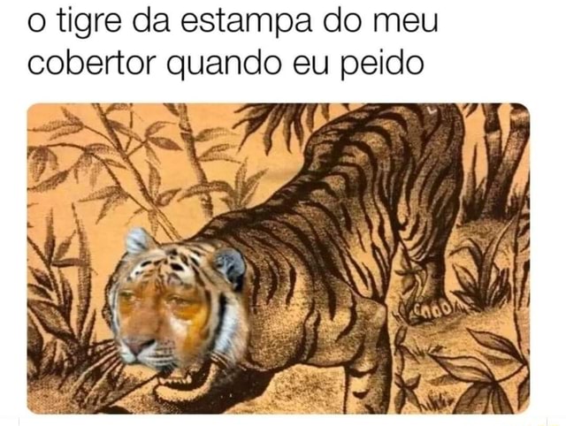 O tigre da estampa do meu cobertor quando eu peido - iFunny Brazil