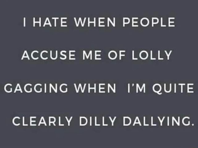 Lollygag or Dilly Dally? #lollygagging #dillydallying #memes #memestik