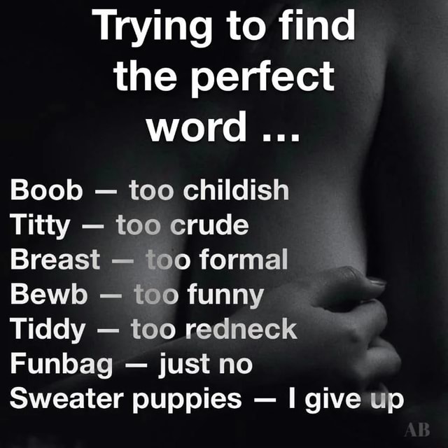 Trying to find the perfect word Boob - too childish Titty - too crude Breast  - too formal Bewb - too funny Tiddy - too redneck Funbag - just no Sweater  puppies - give up - iFunny Brazil