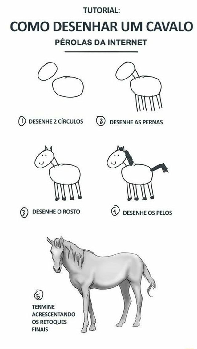 TUTORIAL: COMO DESENHAR UM CAVALO PÉROLAS DA INTERNET (D pesennezcírcuos  (7) DESENHE AS PERNAS DESENHE O ROSTO DESENHE OS PELOS TERMINE  ACRESCENTANDO OS RETOQUES FINAIS - iFunny Brazil